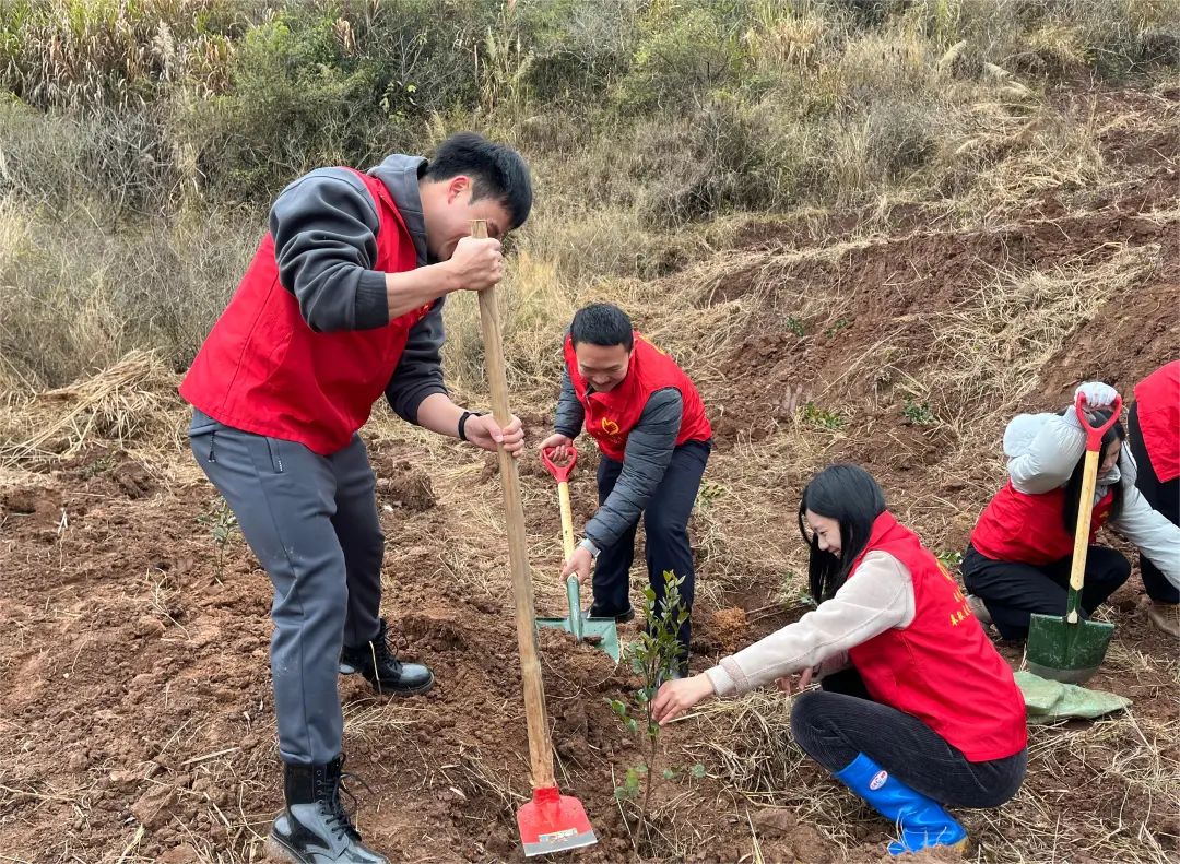 春季植树造林美篇图片