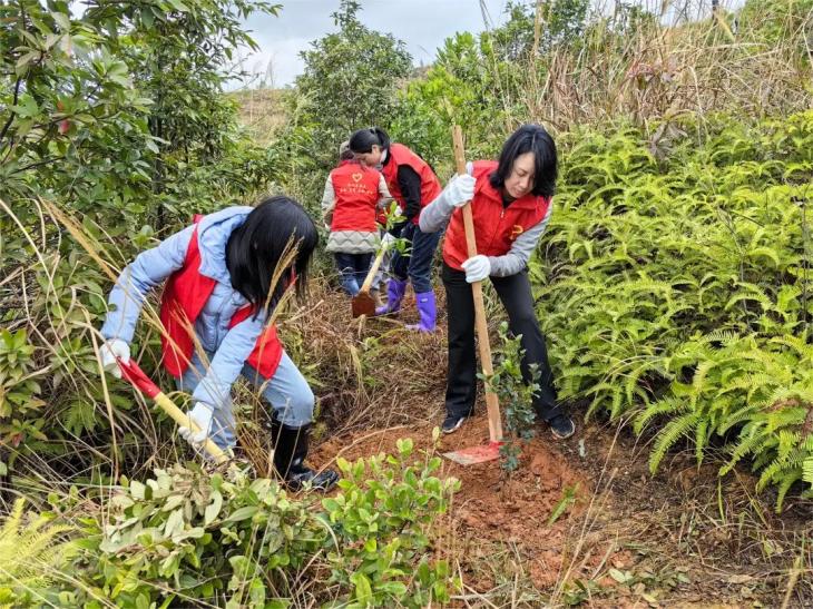 春季植树造林美篇图片