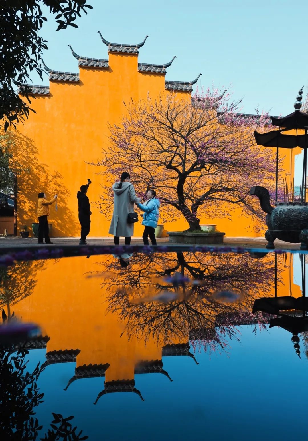 周末来黄岩邂逅"繁花"→_澎湃号·政务_澎湃新闻-the paper