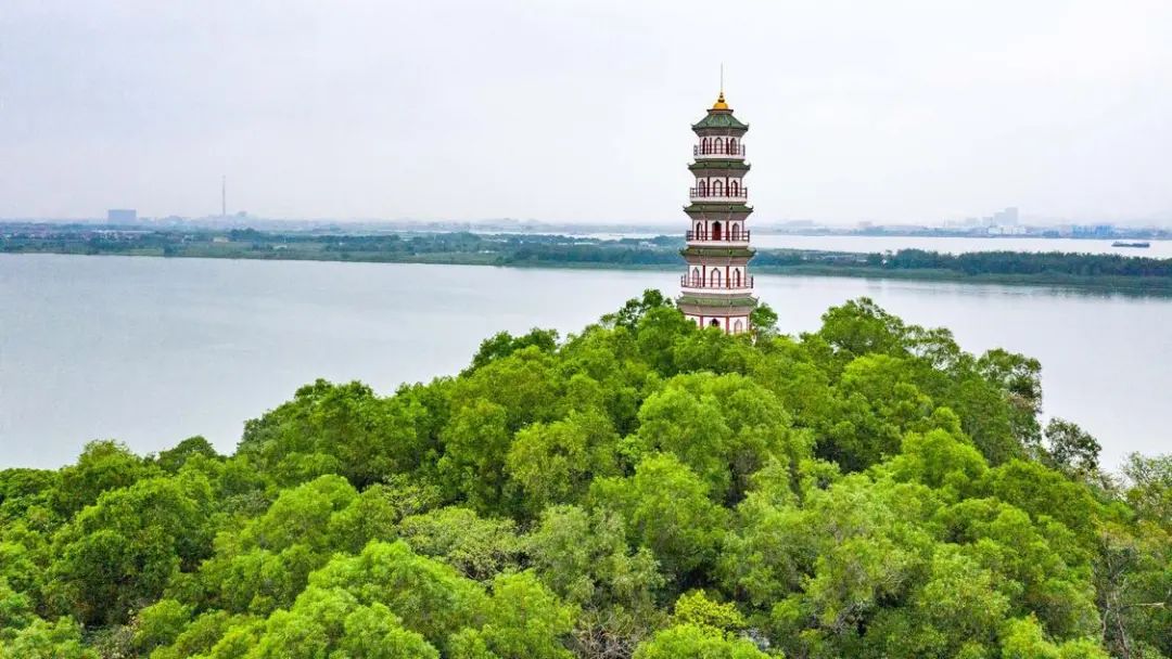 佛山高明十大必去景点图片