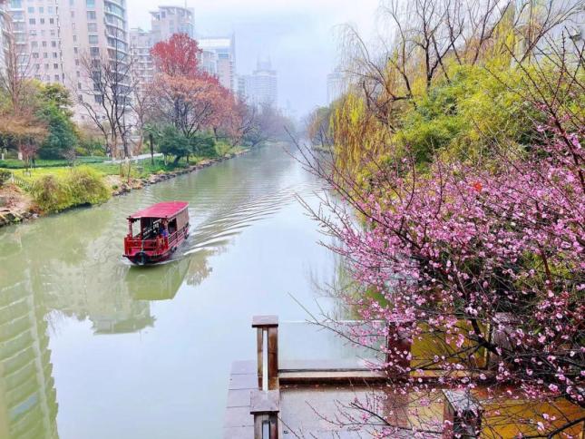 熬不住了杭州这些地方天一晴就旺起来了提前尝鲜的抓紧