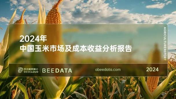 2024年中国玉米市场及成本收益分析简报