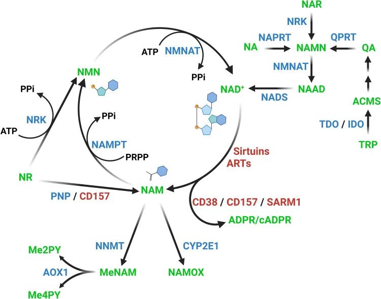 这个爆火的护肤成分,塌房了?