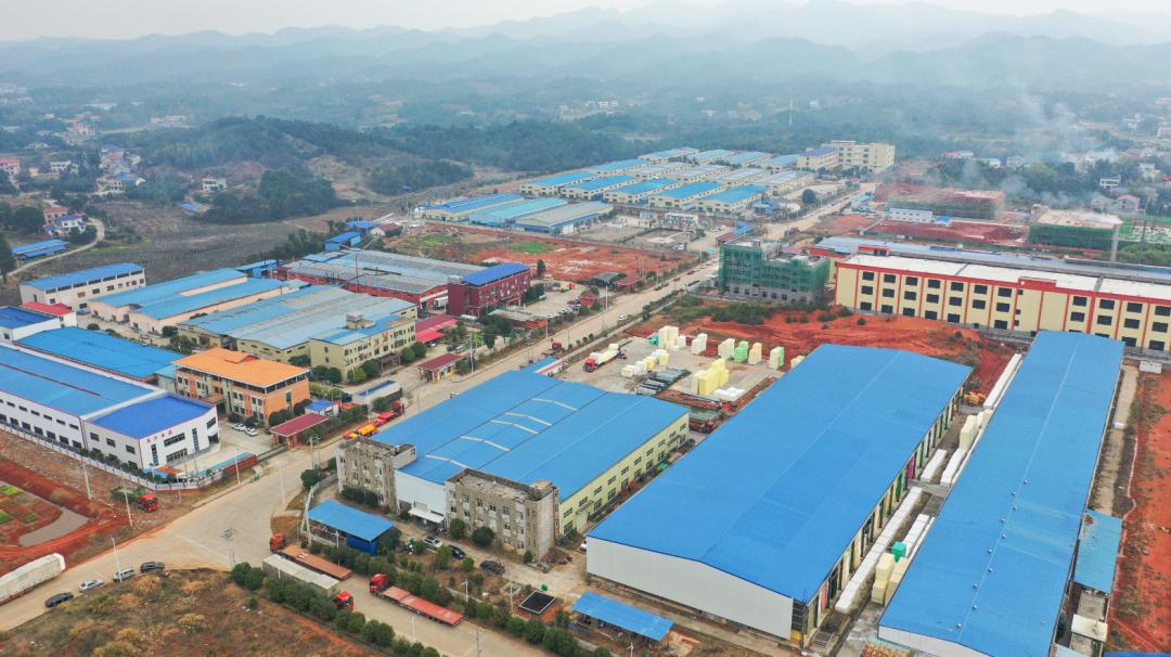 新春走基层丨龙伏镇龙伏村:龙吟抒壮志 伏笔绘蓝图_澎湃号·政务_澎湃