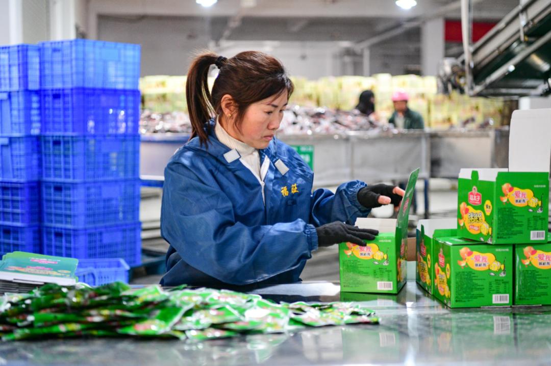 新春走基层丨龙伏镇龙伏村:龙吟抒壮志 伏笔绘蓝图_澎湃号·政务_澎湃