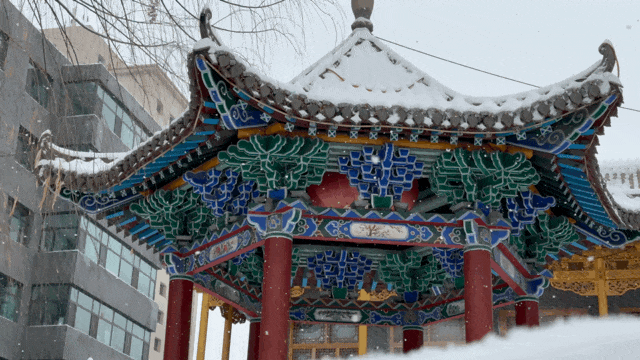 当最美的八坊十三巷下了雪,简直惊艳了整个二月_澎湃号·政务_澎湃