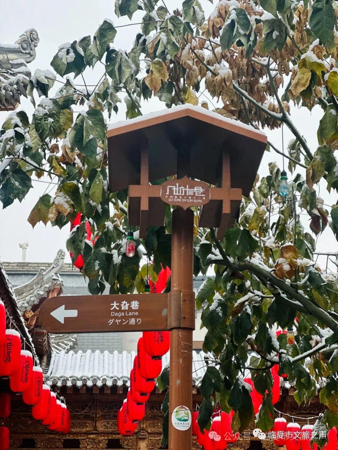 当最美的八坊十三巷下了雪,简直惊艳了整个二月_澎湃号·政务_澎湃