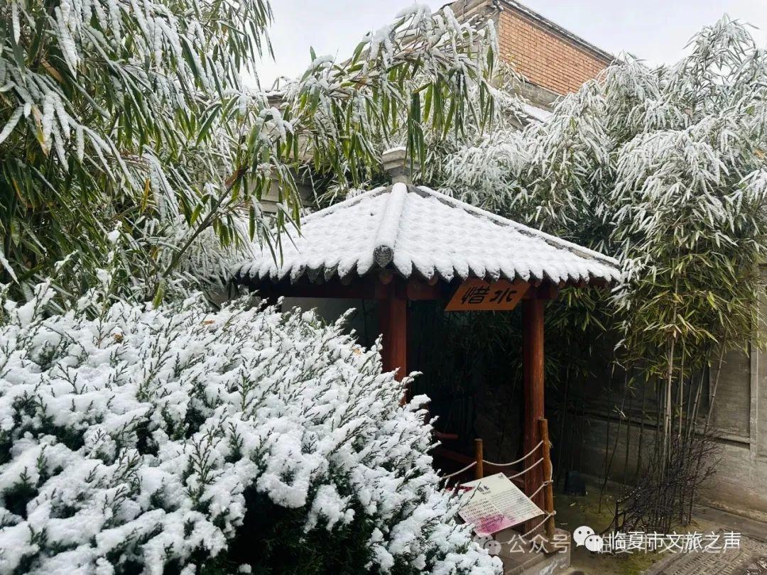 当最美的八坊十三巷下了雪,简直惊艳了整个二月_澎湃号·政务_澎湃
