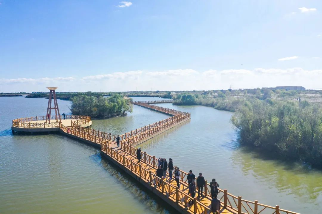 在阳春三月,邂逅黄河口的春天_澎湃号·政务_澎湃新闻-the paper