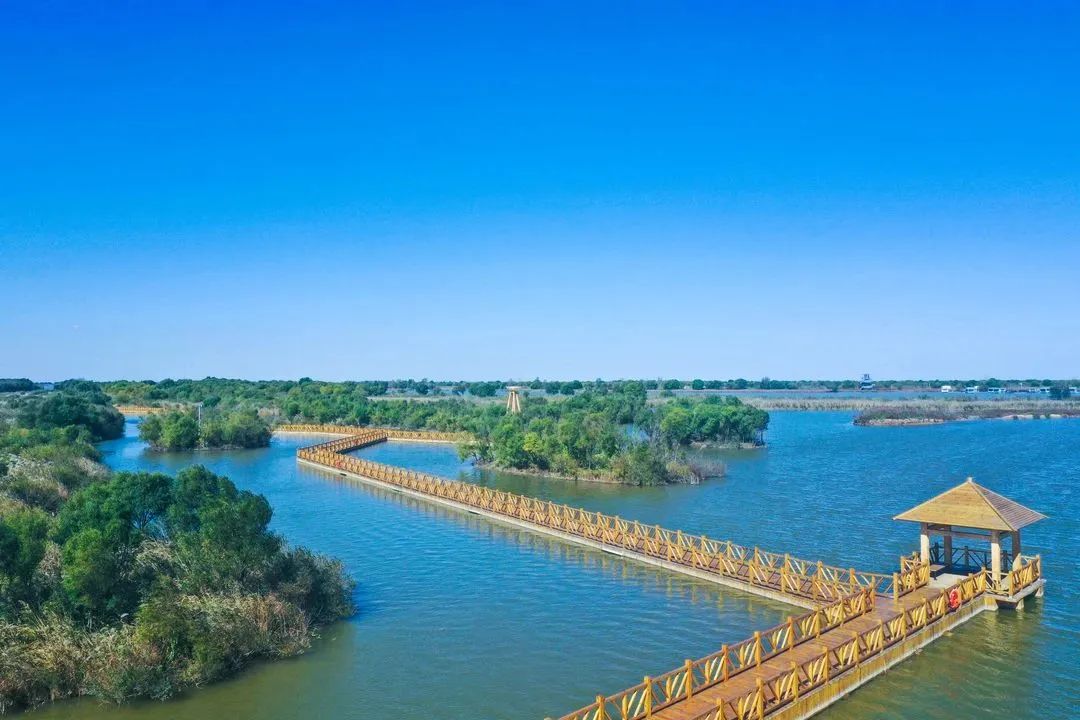 在阳春三月,邂逅黄河口的春天_澎湃号·政务_澎湃新闻-the paper