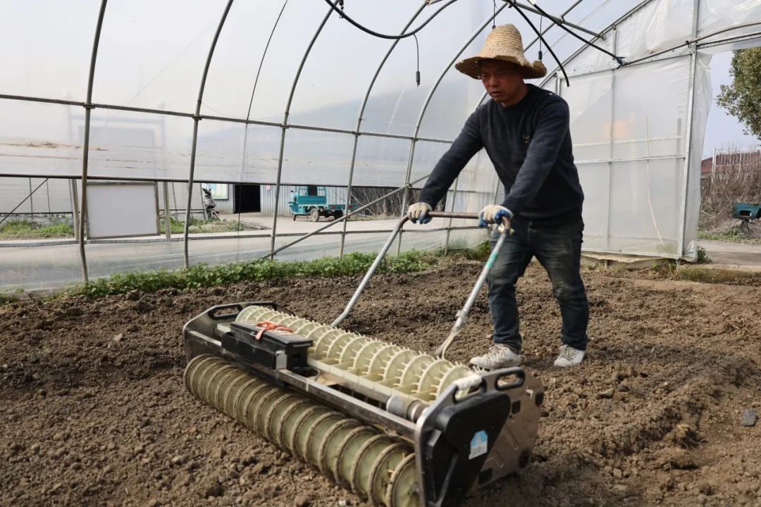 早春"订单蔬菜"播种忙→_澎湃号·政务_澎湃新闻-the paper