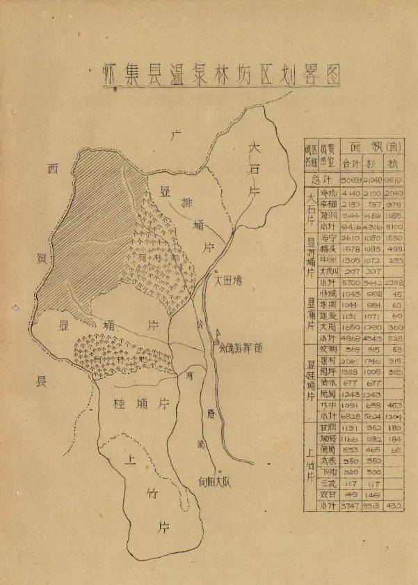 林丰俗妙手丹青为岳山造林增色_澎湃号·政务_澎湃新闻-the paper