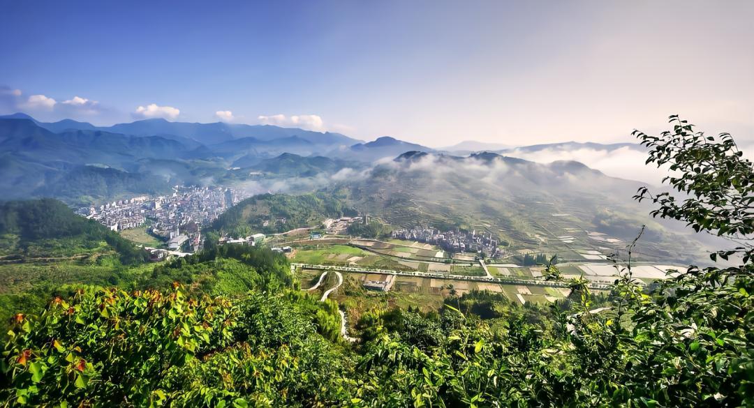 桃溪镇 金跃建:接力竞跑 冲刺起步【一把手谈"五大攻坚"】_澎湃号