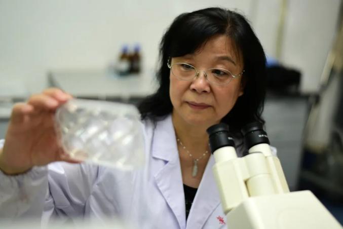 深耕40余载,她获授这项全国荣誉_澎湃号·政务_澎湃新闻-the paper