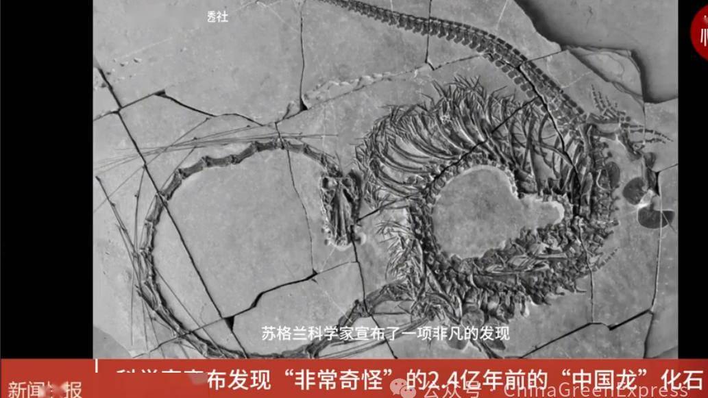 距今 2.4 亿年恐龙化石在贵州被发现