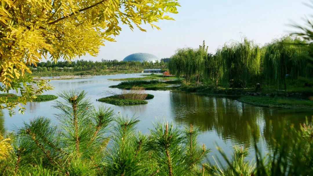 垂柳依依漫步滏阳河畔▲睡美人山▲观天佛山▲炉峰山看一看磁县山峰的