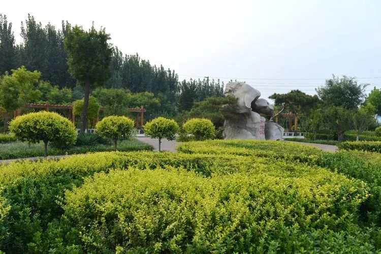 垂柳依依漫步滏阳河畔▲睡美人山▲观天佛山▲炉峰山看一看磁县山峰的