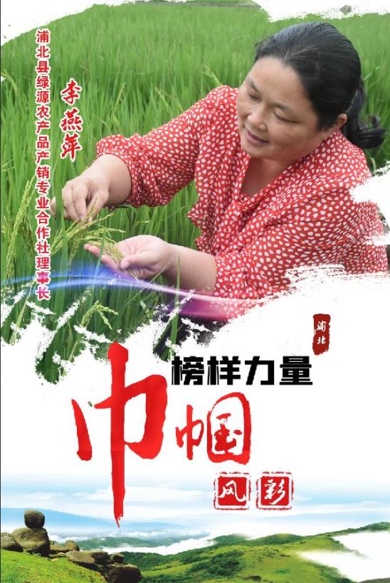 【榜样力量 巾帼风采】李燕萍:田畴织"锦绣",沃野绘"丰景"!