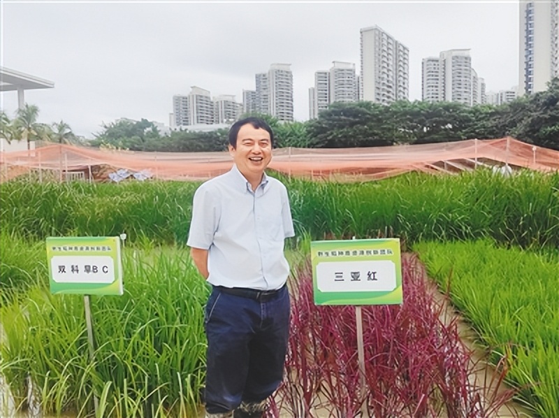 全国人大代表、中国科学院院士钱前： 四十年在海南“追光逐热”_澎湃号·政务_澎湃新闻-The Paper