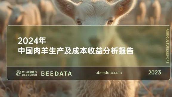 2024年中国肉羊生产及成本收益分析简报