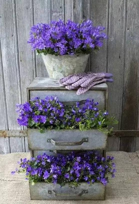 【乡村振兴 巾帼行动】美丽庭院创建小锦囊——废物利用,让你的庭院与