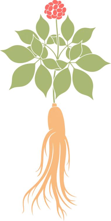 春运进行时丨00后"萌新"的春运首秀_澎湃号·政务_澎湃新闻-the paper