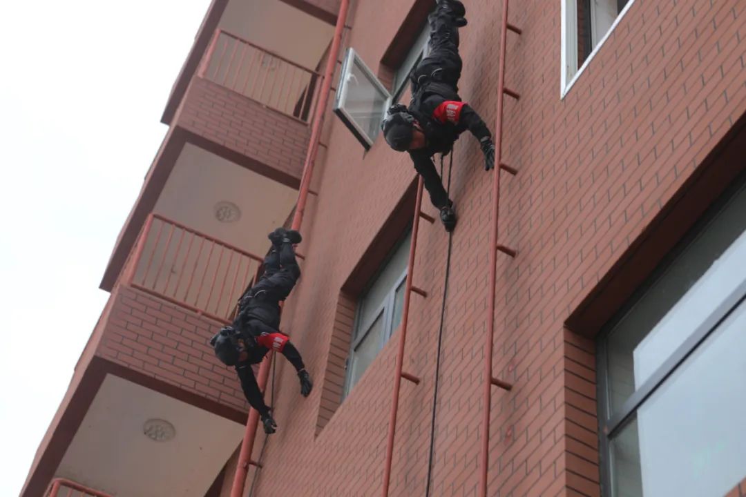 野狼突击队民警平均年龄26岁,青年占比90%以上.