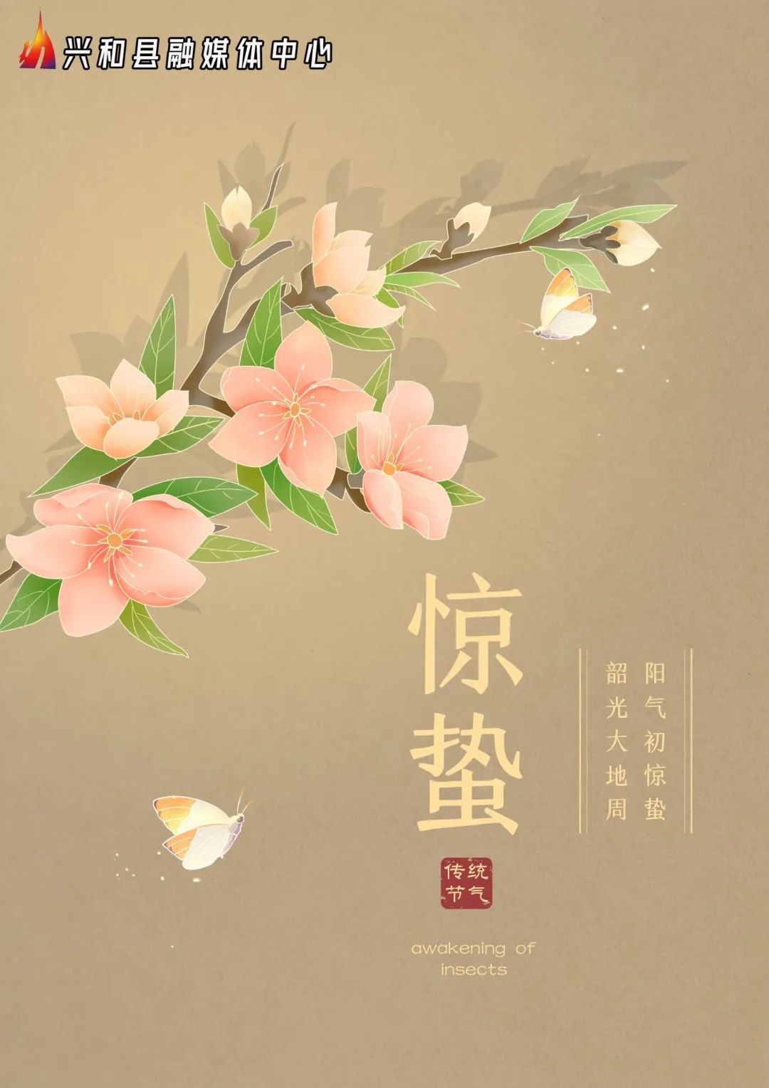 二十四节气 || 今日惊蛰_澎湃号·政务_澎湃新闻-The Paper