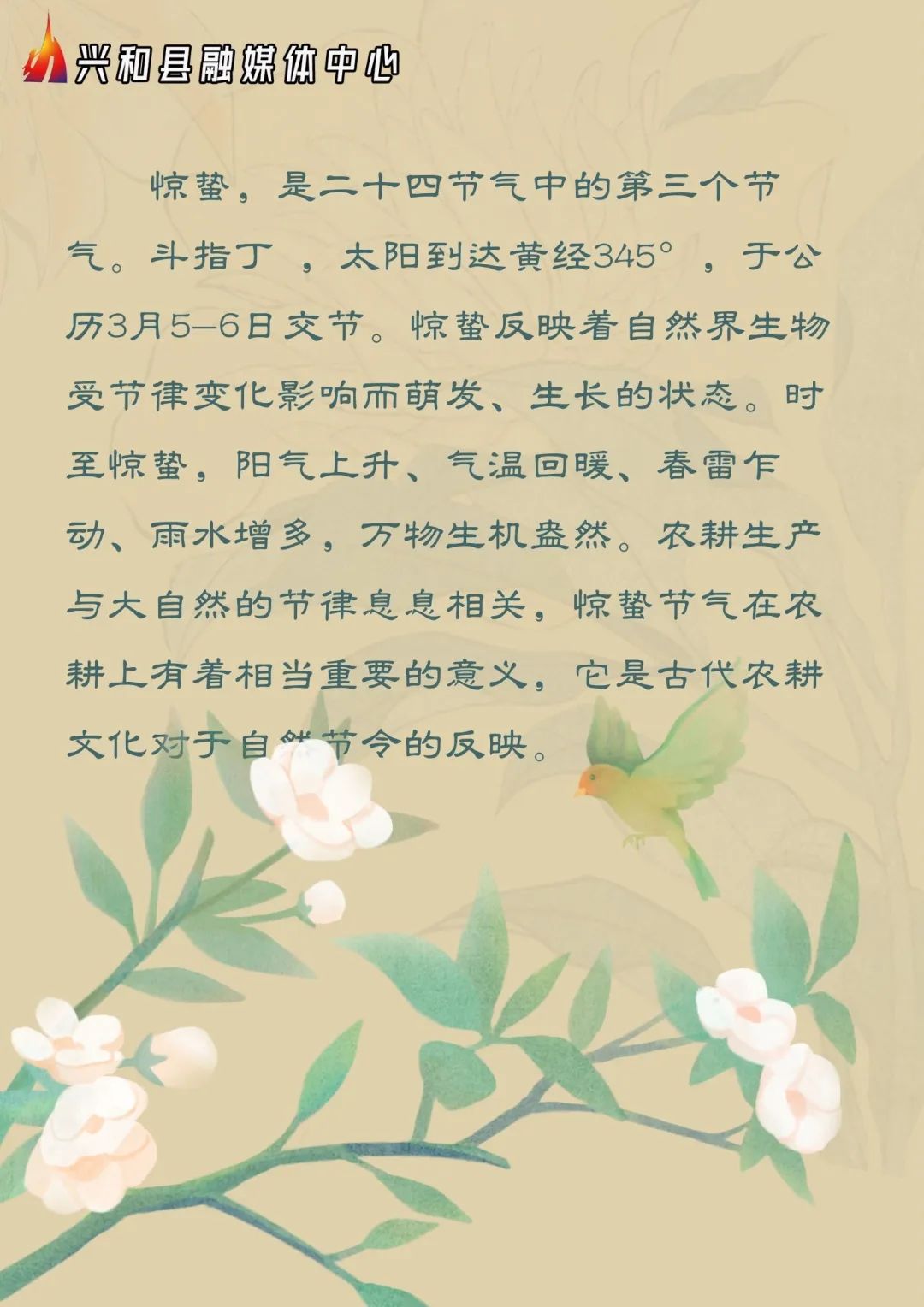 二十四节气 || 今日惊蛰_澎湃号·政务_澎湃新闻-The Paper
