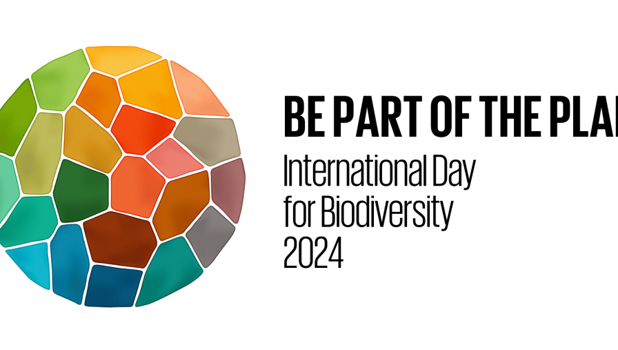 2024年国际生物多样性日主题揭晓！