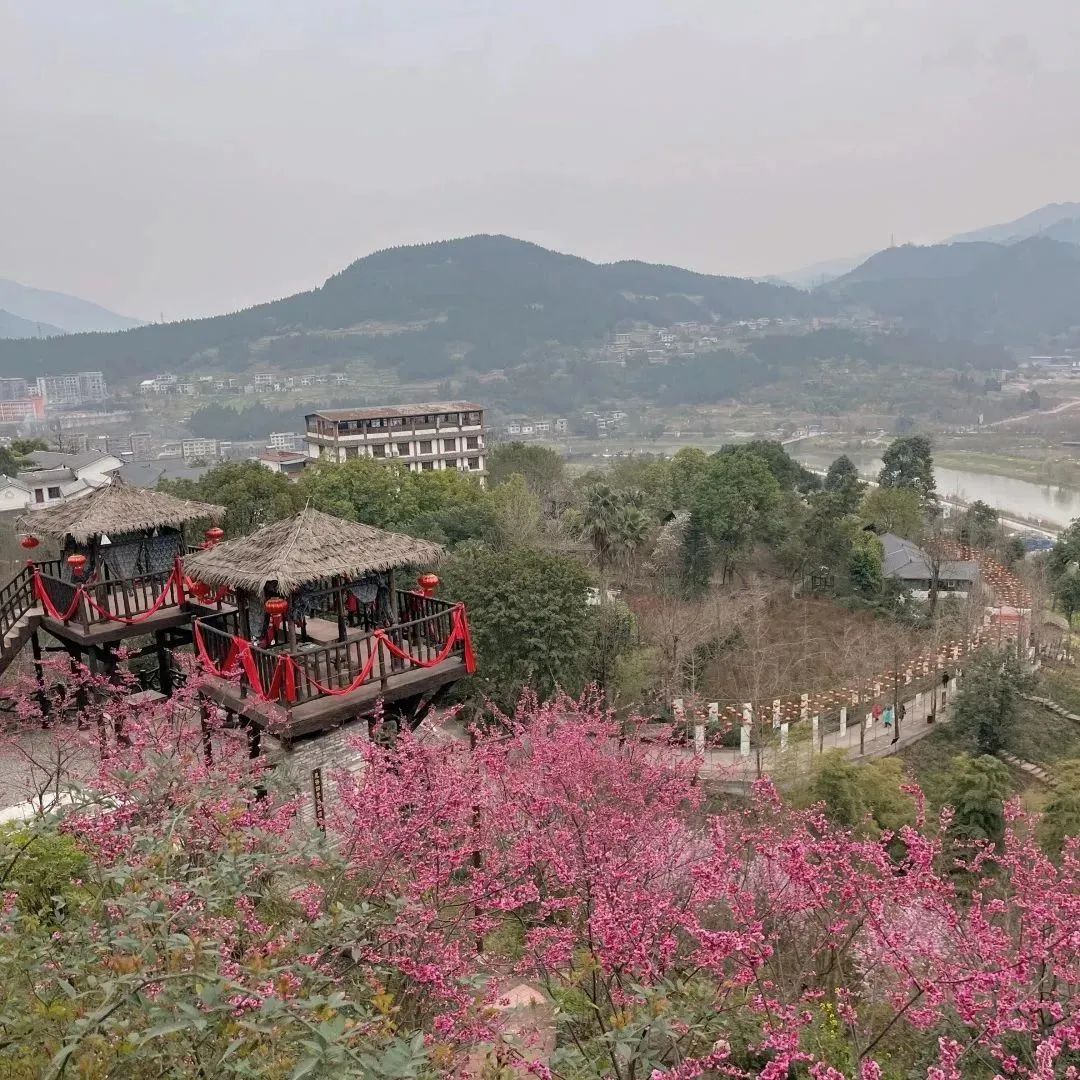 春风十里,芳华如你 | 开州法院庆"三八"妇女节系列
