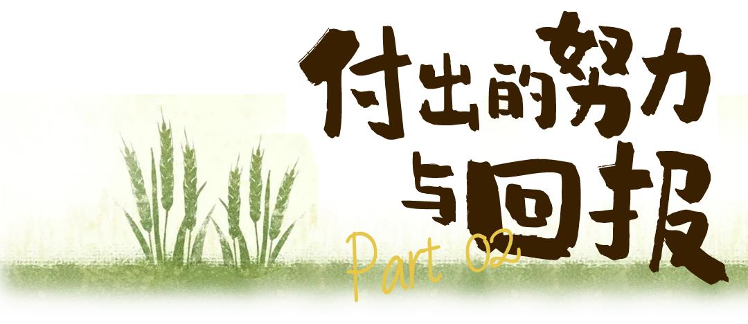 三更熬夜,四肢不勤,五谷不分,忙碌的打工人却在农田里治好了精神内耗?