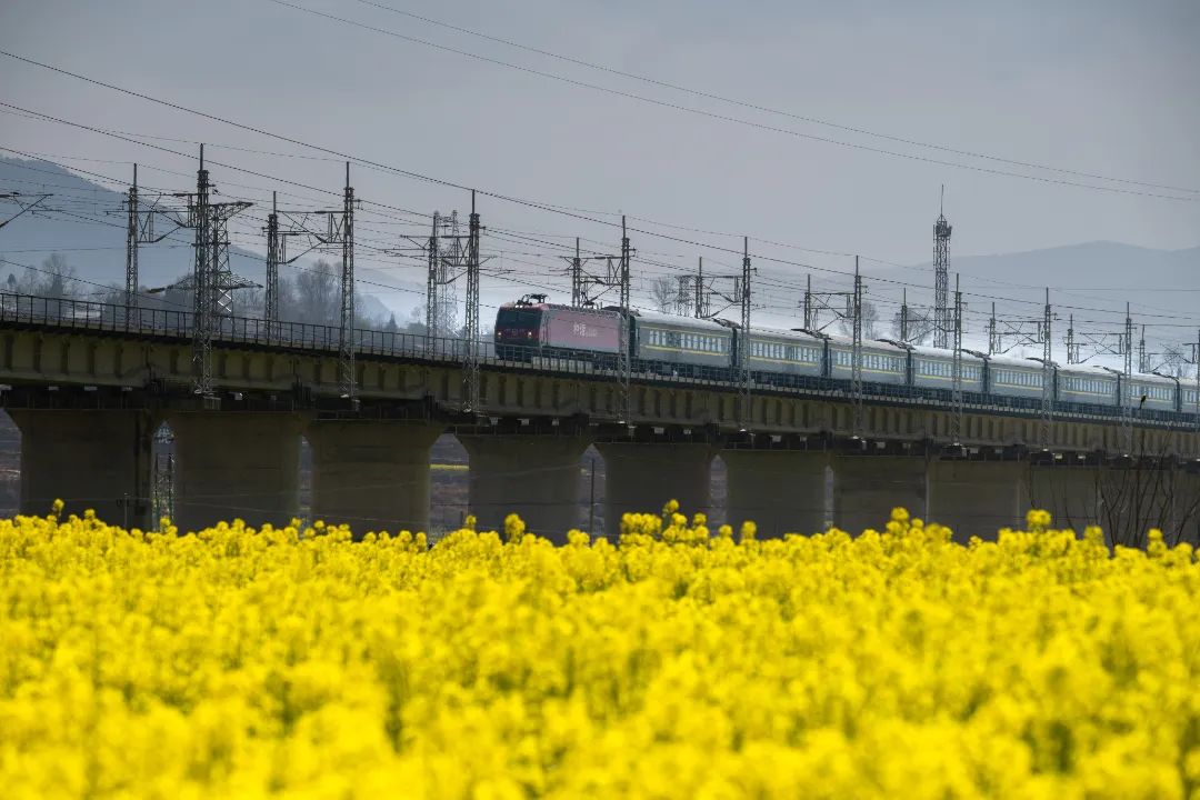 覆盖川渝黔全部铁路_澎湃号·政务_澎湃新闻-the paper