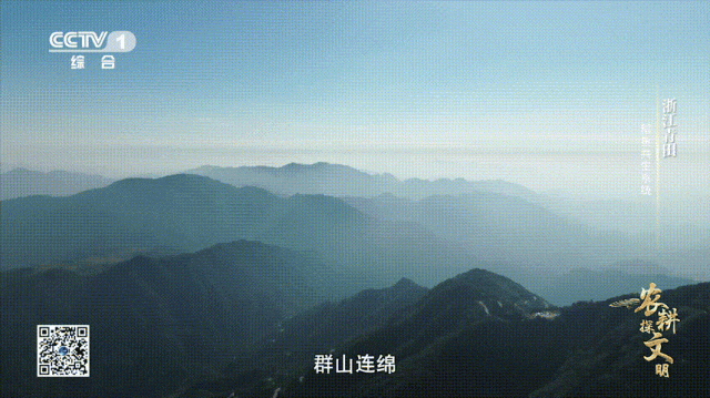 今晚6:20青田"稻鱼共生系统"将在央视一套播出_澎湃号·政务_澎湃新闻