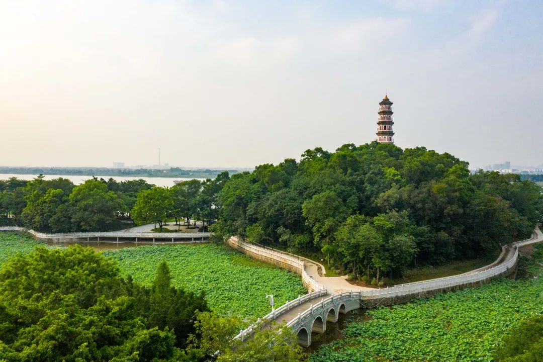 高明线灵龟公园.2023佛山50公里徒步活动三水线现场.
