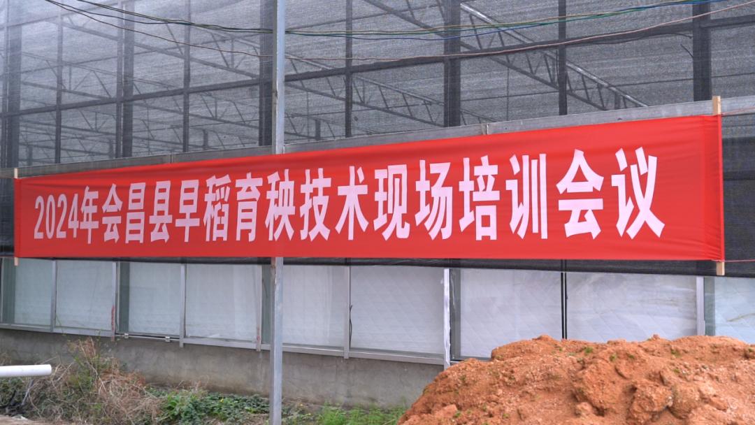 实字为本打基础干字当头勇争先会昌人勤春来早早稻育秧培训忙