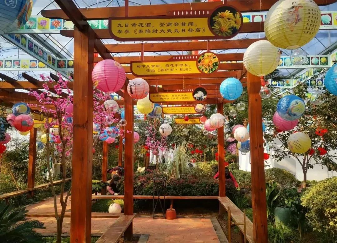 春天的百花以在菊香人家的暖室温棚内提前绽放,属于女神们的鲜花在