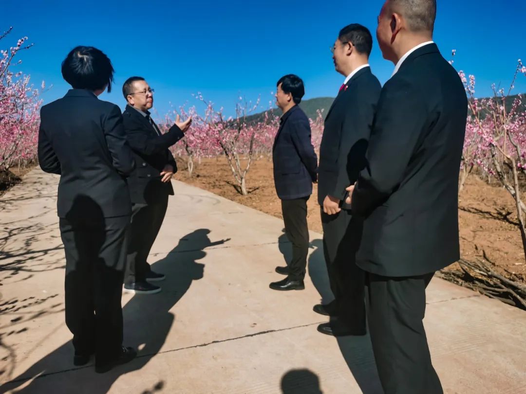 心系法庭慰然成枫楚雄中院魏炜一行到发窝中心人民法庭调研指导工作