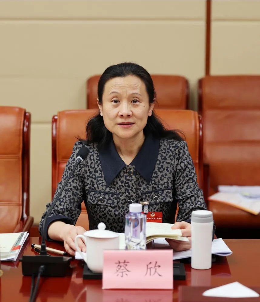 陈军,王昱,蔡睿,陈子云,陈玉玲,陈清莉,吕少军发言.江利平主持会议.