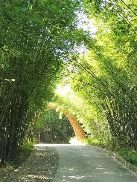 你已经"闯"进了广宁的"花花世界"_澎湃号·政务_澎湃新闻-the paper