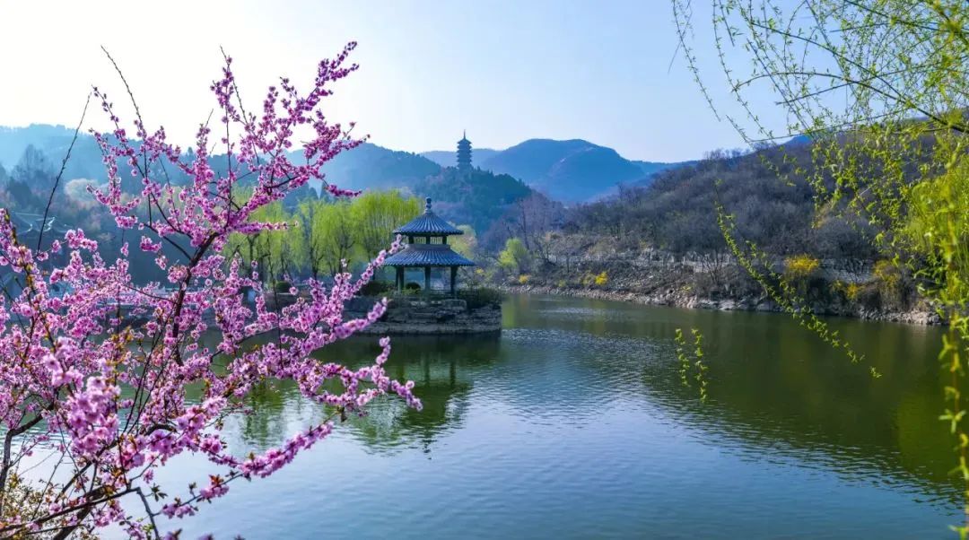 济南这些"三八"妇女节专属优惠已送达!