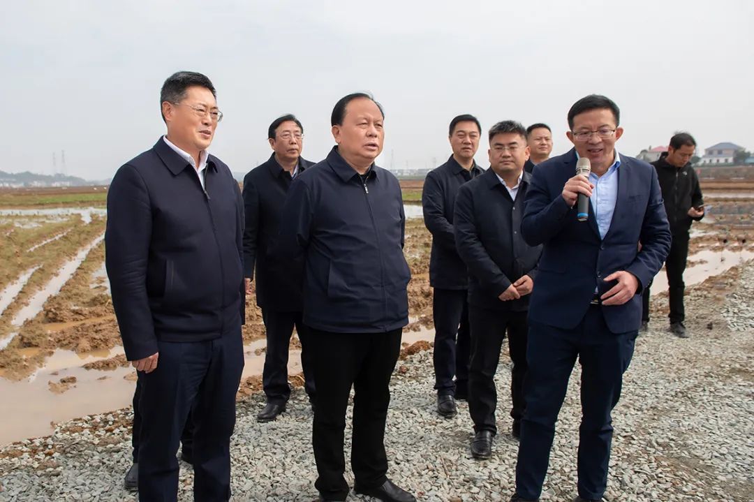 周农一行来浏阳调研_澎湃号·政务_澎湃新闻-the paper