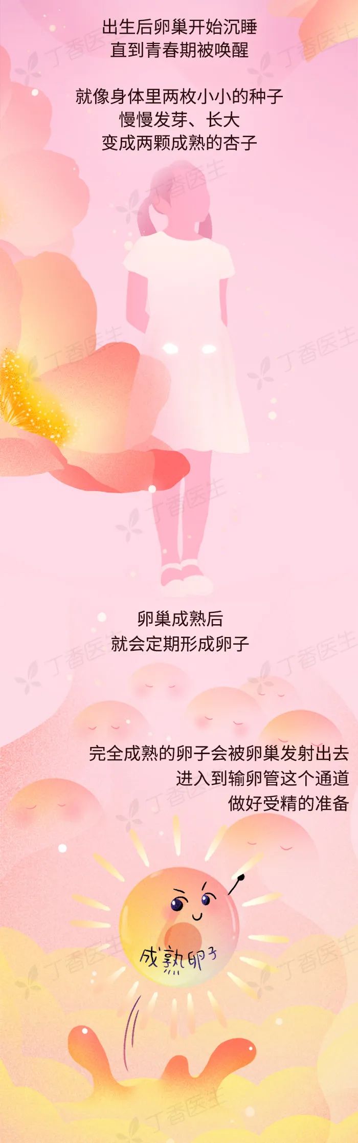 卵巢衰老,从多少岁开始?_澎湃号·湃客_澎湃新闻-the paper