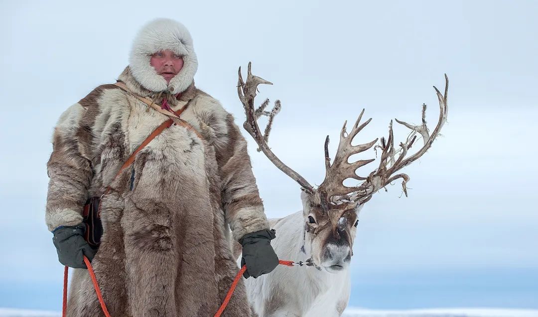 最简单的办法是这个 | 环境小喇叭_澎湃号·湃客_澎湃新闻-the paper