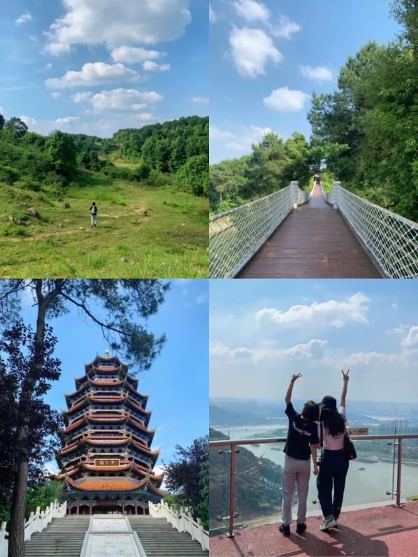 铁山坪小环线全长12km,整体不会太难走,全程被绿植包围,好似城市中的