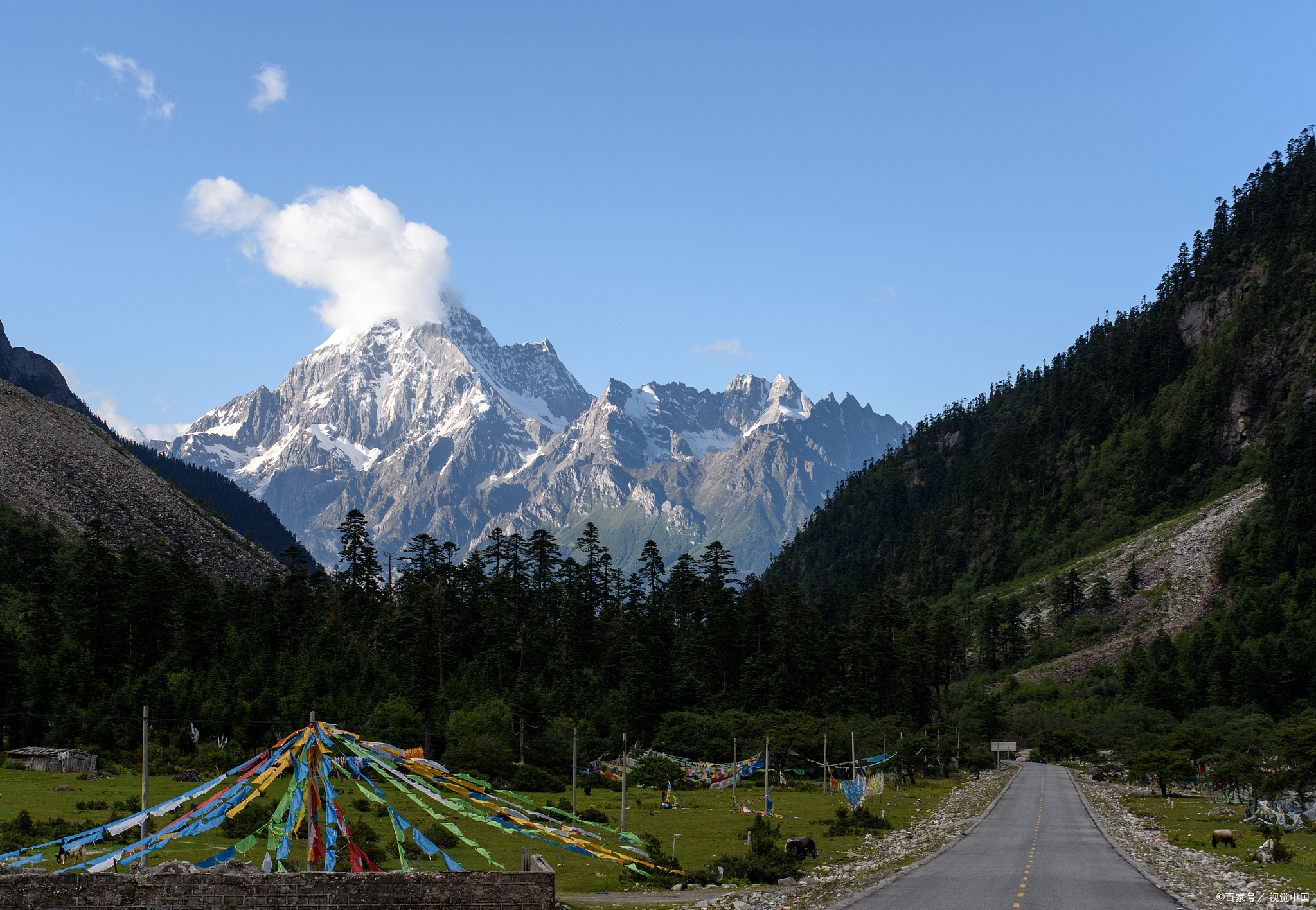 代表讲述亲历故事,展现真实美好的西藏_澎湃号·政务