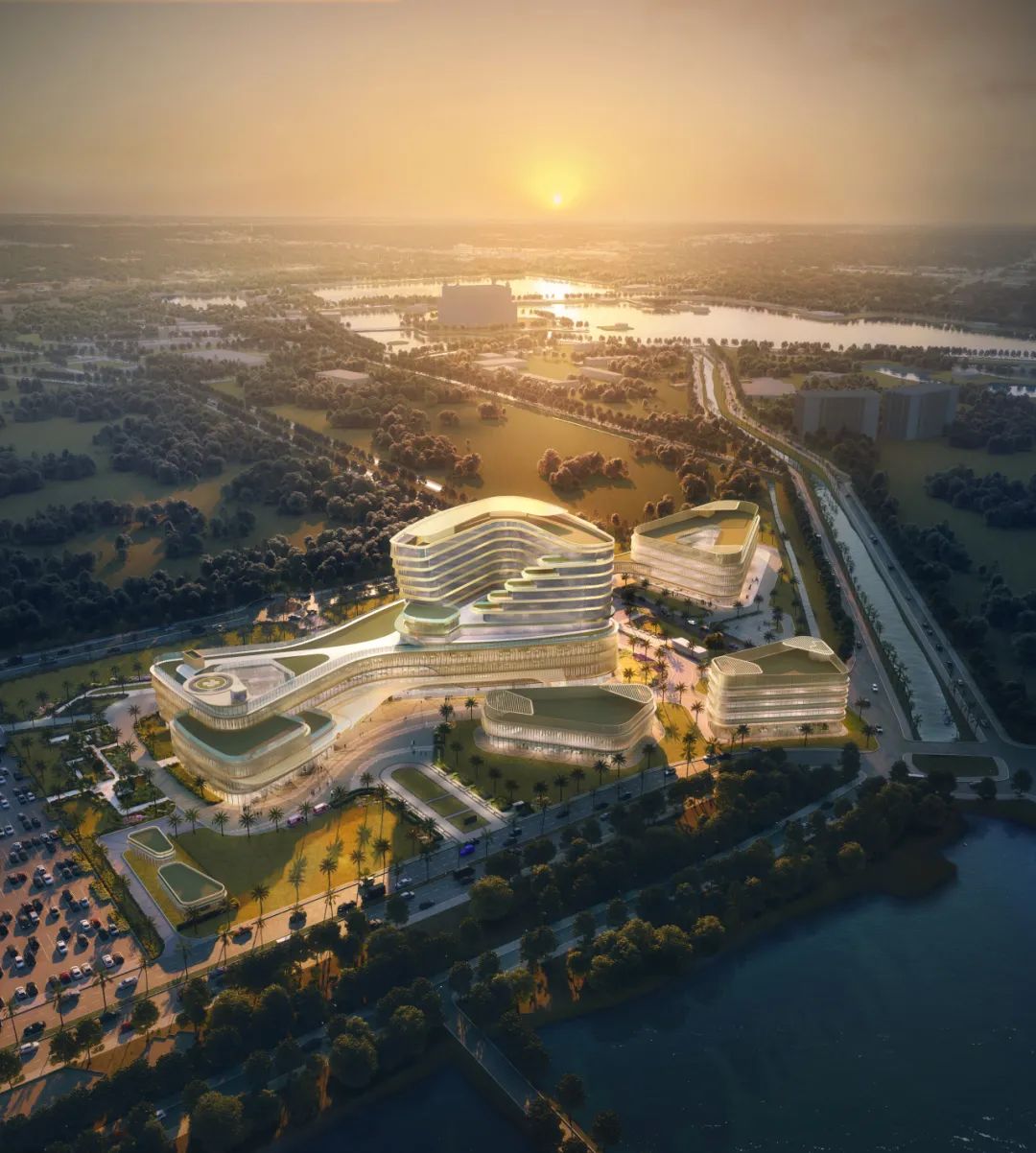 作品无限dna伊拉克巴格达美国大学医学院