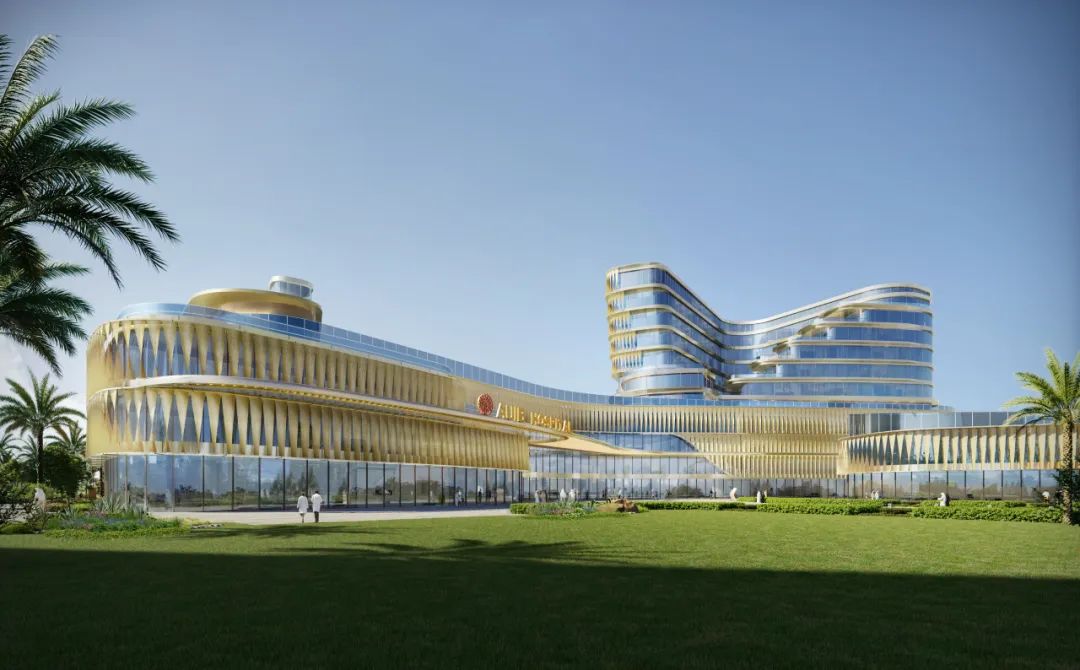 作品无限dna伊拉克巴格达美国大学医学院