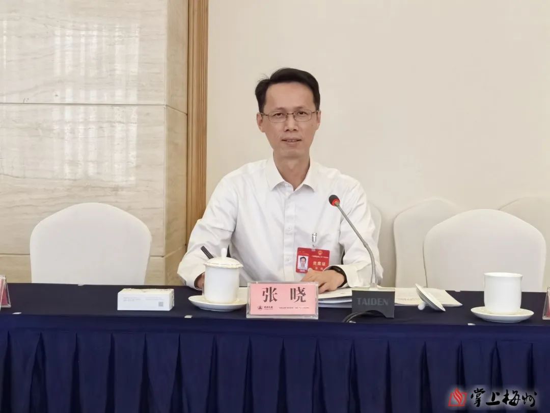 全国人大代表张晓准备提交6份建议_澎湃号·政务_澎湃新闻-the paper