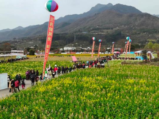 德阳油菜花图片